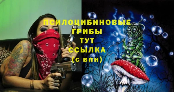 скорость Алексин