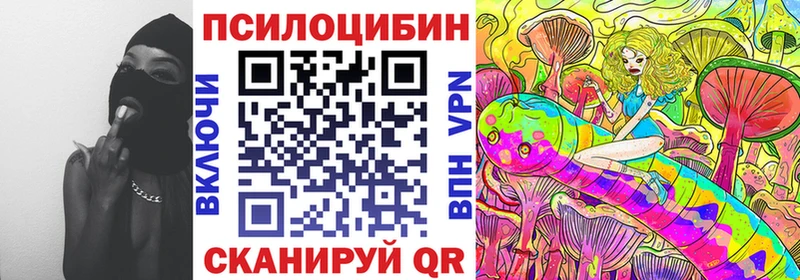 Псилоцибиновые грибы Cubensis Купить где Западная Двина